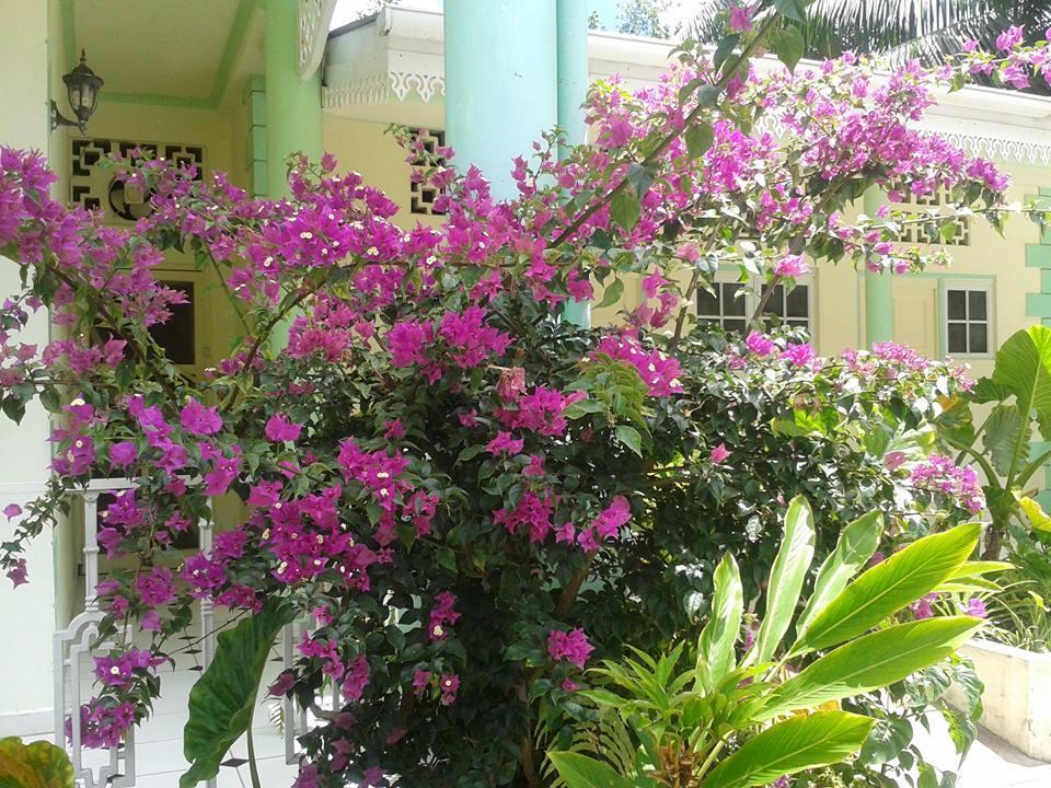 Palm Beach Hotel Гранд-Анс Экстерьер фото